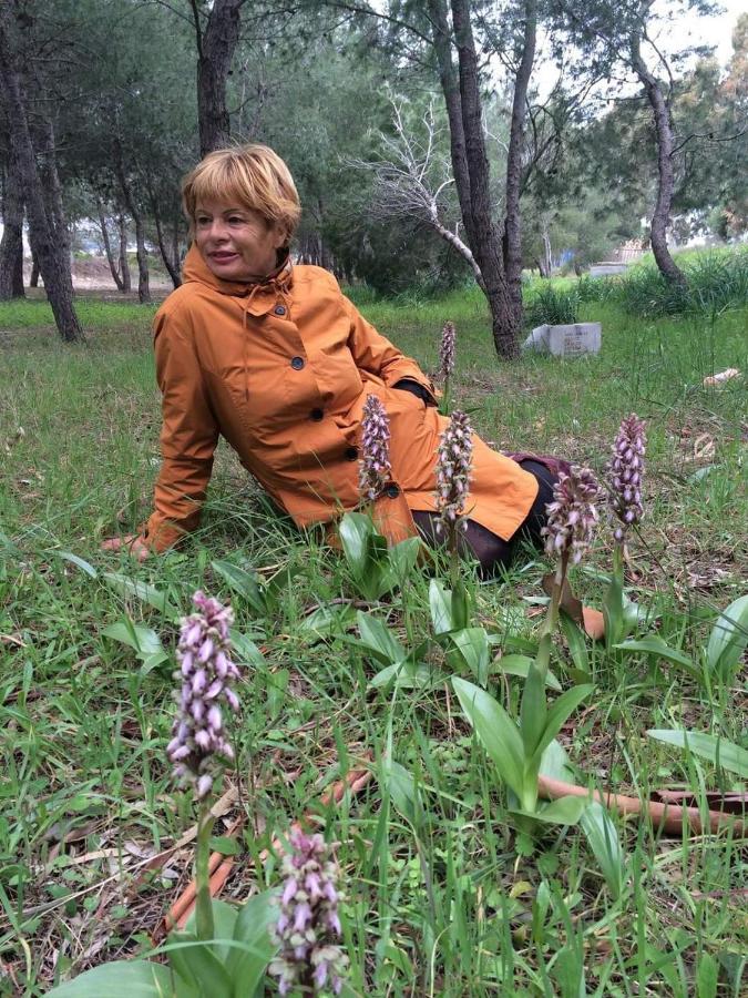 Orchidea Mattinata Parco Del Gargano Apartment Exterior photo